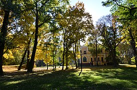 Вікові дерева колишньої садиби Г. М. Глібова 01.jpg