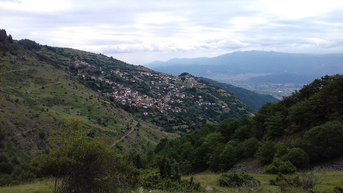 Село Мирзаани Грузия.