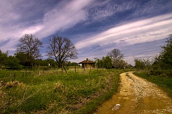 Пут кроз парк