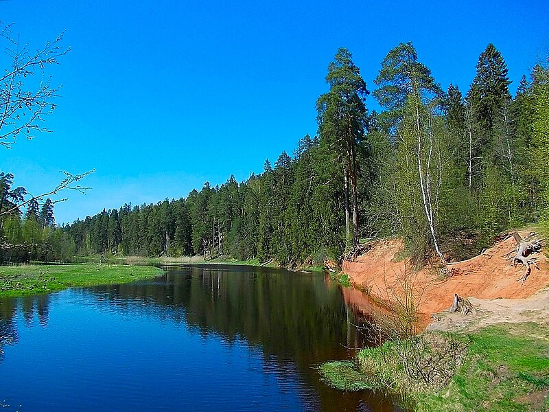 File:Река Оредеж у бывшего дома отдыха Лесное.jpg