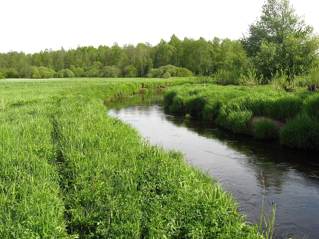 Yana (suba sa Rusya, Pskovskaya Oblast')