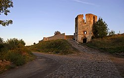 Черленківський Замок