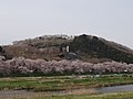 白石川から見た船岡城