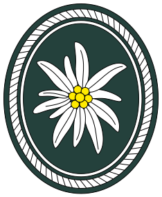 File:1. Gebirgsdivision (Bundeswehr).svg