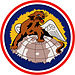 100. Fighter Squadron patch.jpg