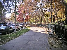 Una passerella delimitata da alberi a destra con auto parcheggiate lungo una strada a sinistra