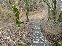 Deutsch: Die Schussenquelle bei Bad Schussenried. Die Schussen mündet in den Bodensee. English: The Schussenquelle near Bad Schussenried. The Schussen flows into Lake Constance.