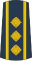 14-Serbian Air Force-COL.svg