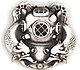 1st Class Diver Insignia.jpg