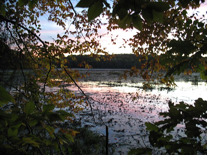 File:2007 11 02 - Russett Pond 21.JPG