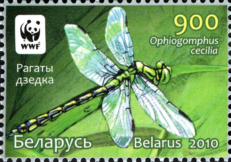 File:2010. Stamp of Belarus 26-2010-03-08-m1.jpg