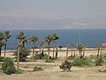 2011-08 Dead Sea 01.jpg