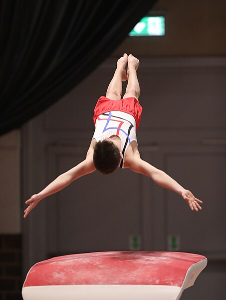 File:2022-12-11 Competition Men Poussines, Benjamines and Minimes Vault at CGC Bettembourg 2022 (Martin Rulsch) 061.jpg