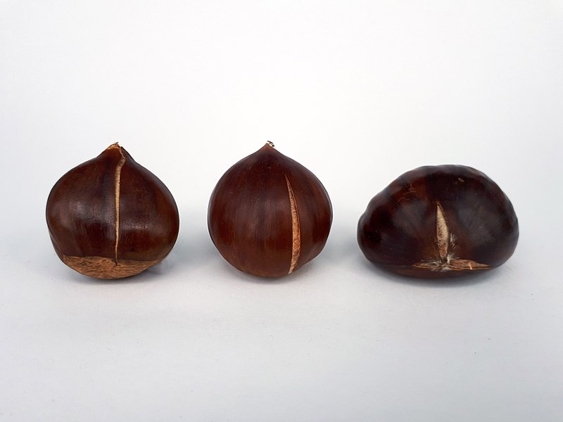 File:3 x Cracked chestnut 2017 A.jpg