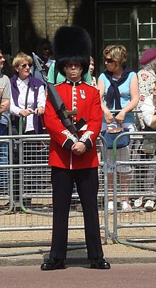 A soldier of the Grenadier Guards wearing a ceremonial tunic in 2009. A Member of the Queen's Guards, Guarding the Mall - geograph.org.uk - 1354107.jpg