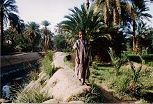Egy fiú Dél-Egyiptomban, a hagyományos viseletben, a galabijában áll a Nílus-völgyének csatornarendszere mellett