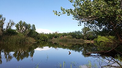 A pond and riparian vegetation (42140471910).jpg