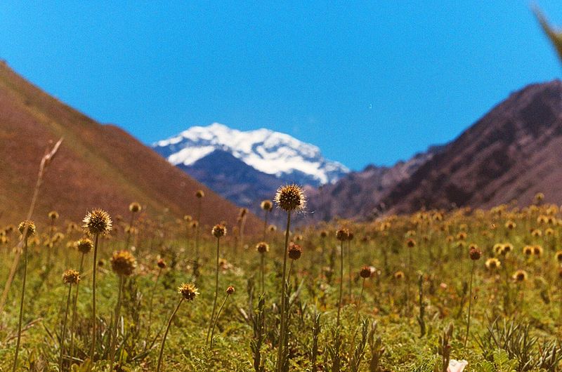 File:Aconcagua desenfocado.jpg