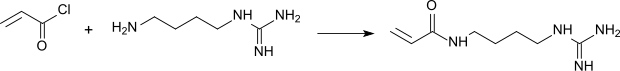 Acrylamidoagmatine: comonomer for electrophoresis gels