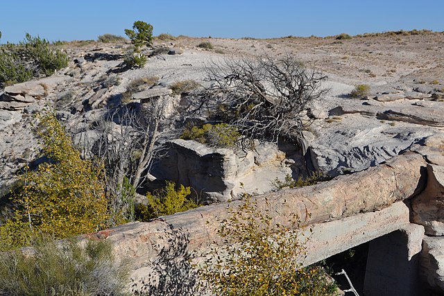 File:Afternoon_at_Agate_Bridge.jpg