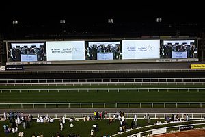 Meydan had the world's longest television screen Al Tayer Motors Sponsors High-class Dubai World Cup Carnival (8490932997).jpg
