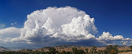 Cumulonimbus clouds often form thunderstorms.