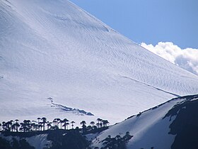 Luftfoto av stasjonen.