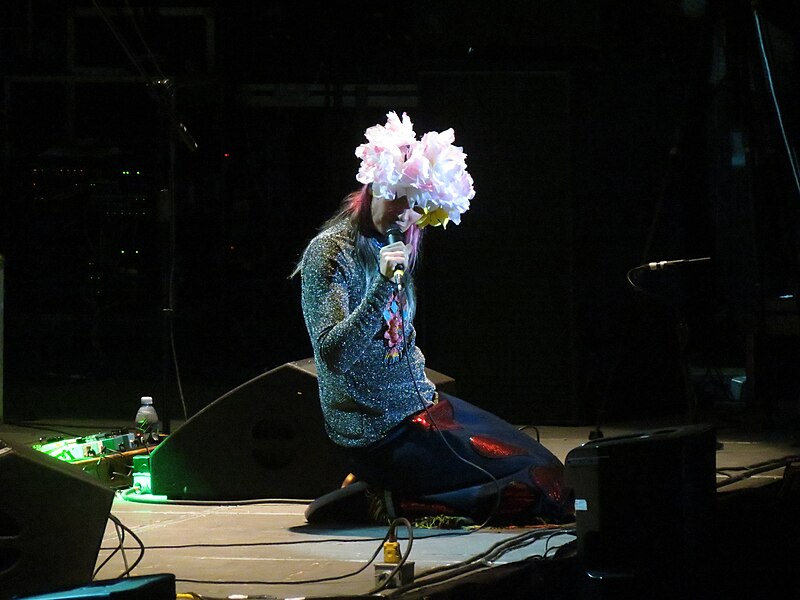 File:Aterciopelados en la FNSM 2017, Foro del Lago, Aguascalientes 62.jpg