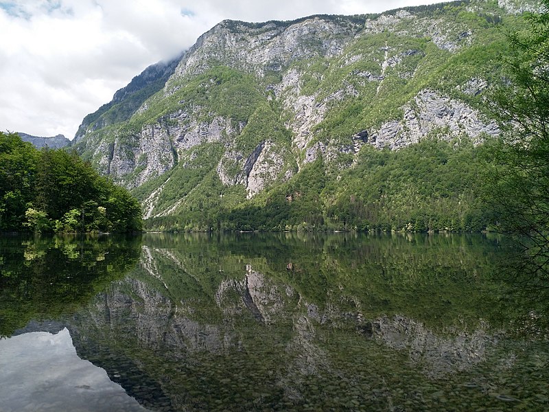 File:Ausblick Bohinj jezero (41139420745).jpg