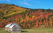 Autumn landscape of Haute-Gaspesie Automne-manche d'epee 592K -2.jpg