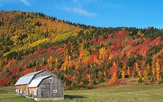 Sainte-Madeleine-de-la-Rivière-Madeleine, Quebec Municipality in Quebec, Canada