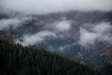 Autumn in Hrubý Jeseník mountains, Czech Republic