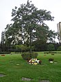 The Morumbi Cemetery where Senna is buried