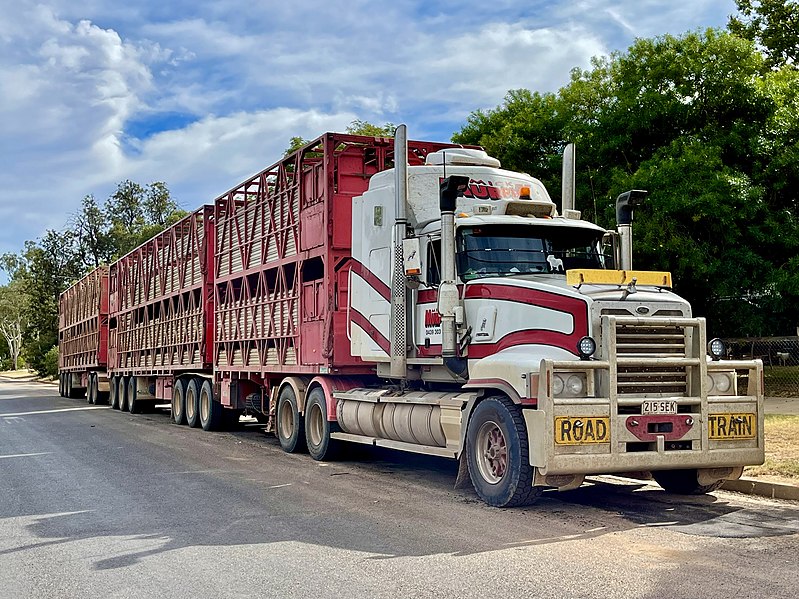 File:B Triple, Road train with 3 trailers, Queensland, 03.jpg