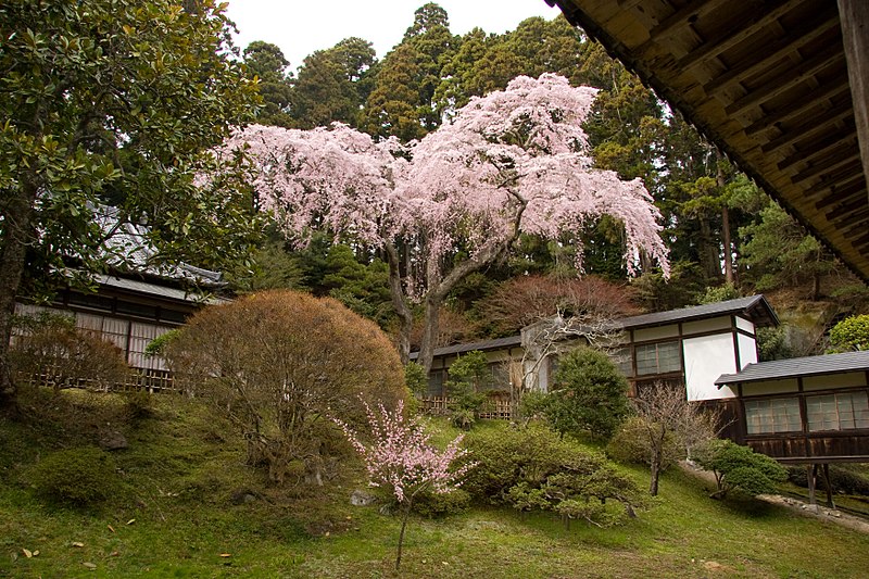 File:Back garden, Zuiganji (2455309071).jpg