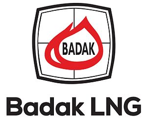 Hasil gambar untuk badak LNG