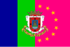 Bandera Camargo.svg