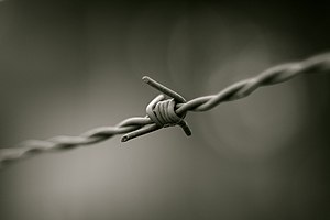 Barbed wire B&W