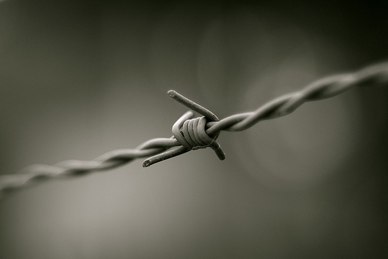 Файл:Barbed wire B&W.JPG