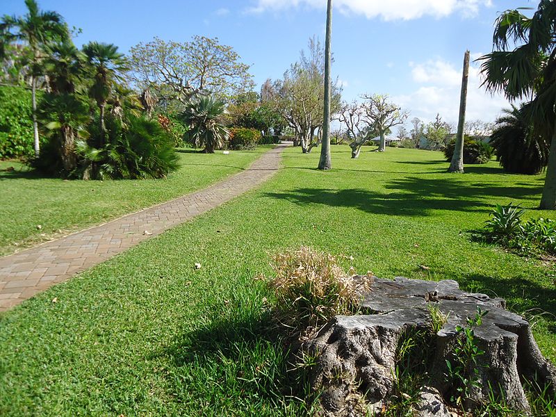 File:Bermuda (UK) image number 244 pathway and grass Botanical gardens.jpg