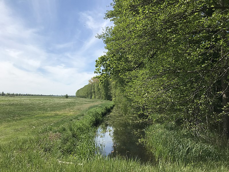 File:Biebergraben Blick nach Westen.jpg