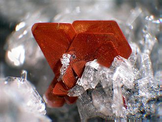 Reddish crystals: biotite. Biotite big aggregate - Ochtendung, Eifel, Germany.jpg