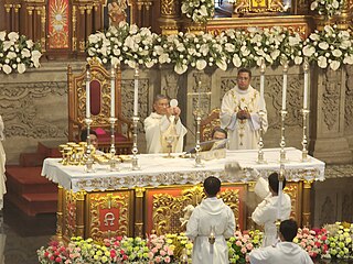 <span class="mw-page-title-main">Pontifical High Mass</span> High Mass celebrated by a Catholic bishop