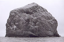 Stac Lee vue depuis le sud montrant les oiseaux ainsi que les dépôts d'excréments et de guano, 30 mars 2006.