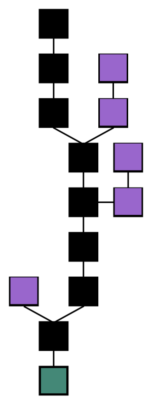 Blockchain formation. The main chain (black) consists of the longest series of blocks from the genesis block (green) to the current block. Orphan blocks (purple) exist outside of the main chain.