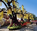 Bloemencorso Zundert 2023 - Gouden Regen 4