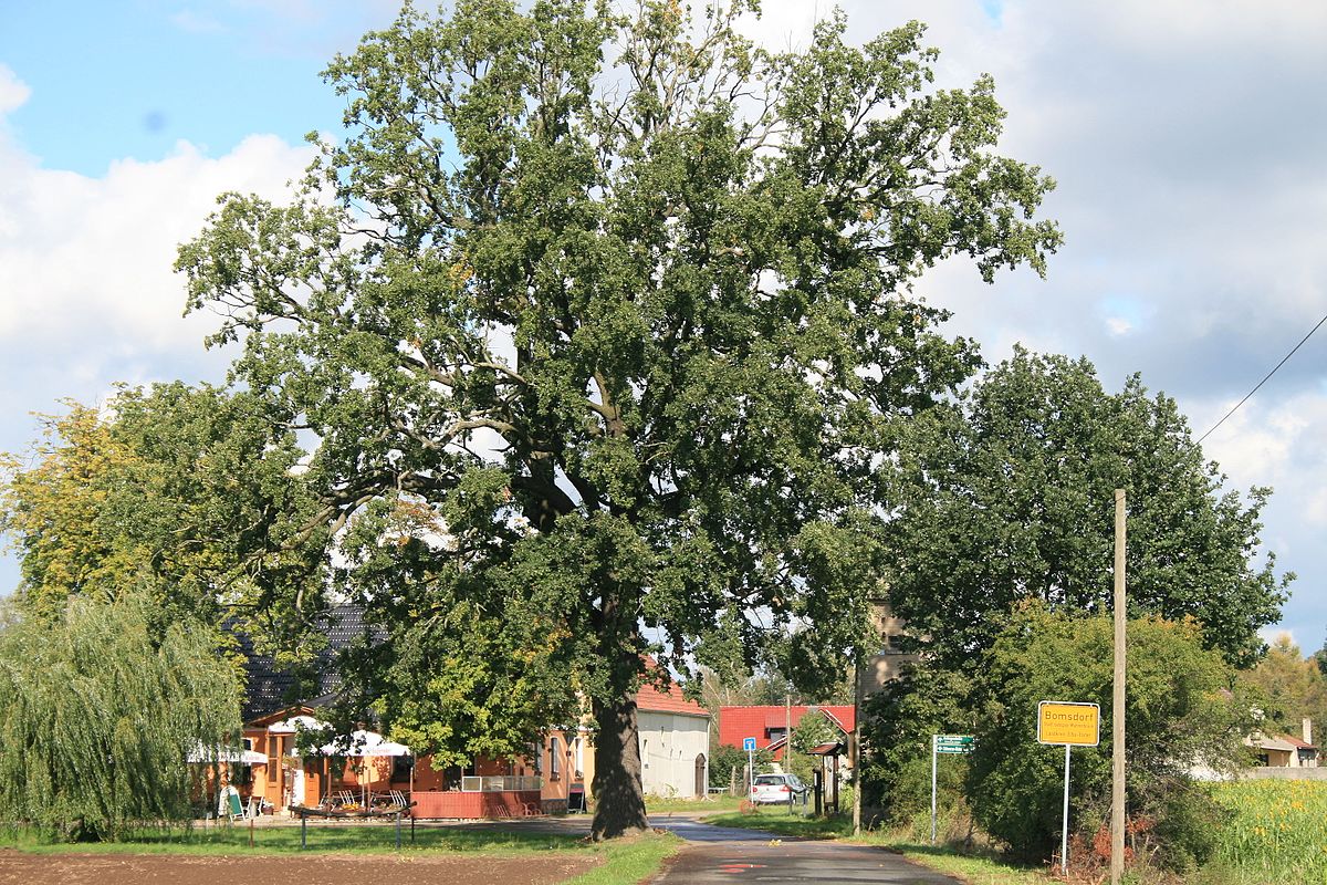 Puff Uebigau-Wahrenbrück