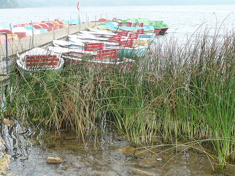 File:Boote am Laacher See.jpg