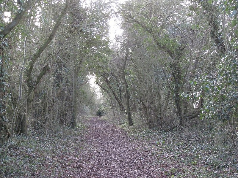 File:Bridleway southwest of Bearley - geograph.org.uk - 2259590.jpg