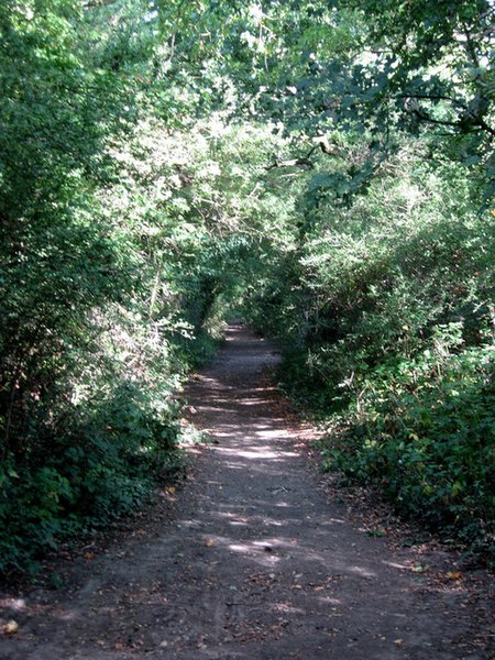 File:Bridleway to World's End - geograph.org.uk - 1462956.jpg